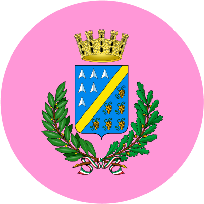 Logo of Comunediciampino