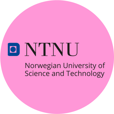 Logo of Ntnu