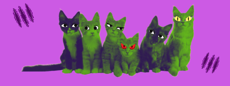 Gatti verdi con occhi da cartone animato su uno sfondo graffiato viola