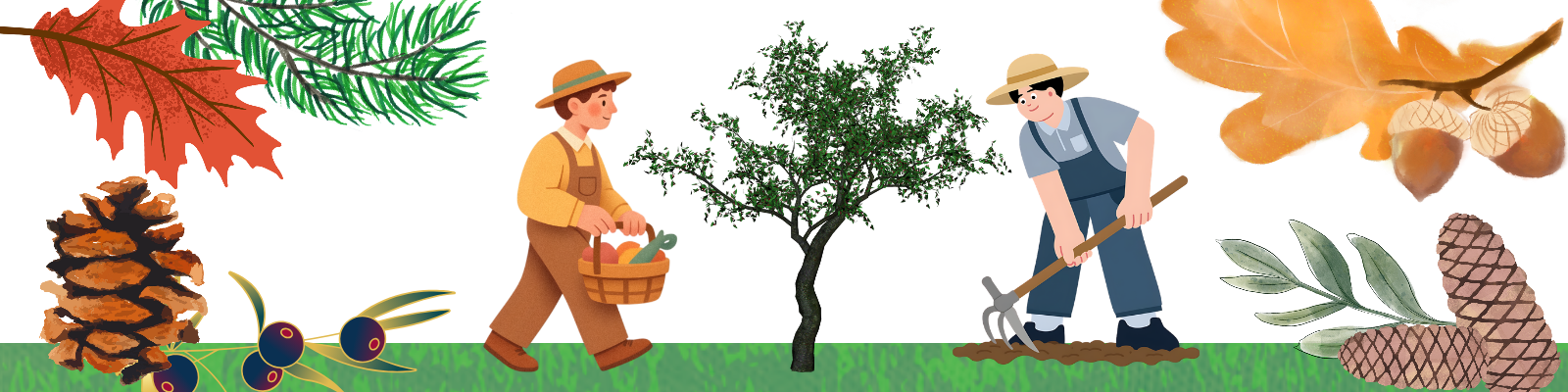 omini che piantano alberi